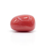 Red Coral 7.99 Carat (Moonga 8.79 Ratti - Image 4