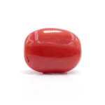 Red Coral 8.37 Carat (Moonga 9.21 Ratti) - Image 3