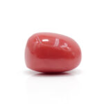 Red Coral 8.84 Carat (Moonga 9.72 Ratti) - Image 4