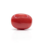 Red Coral 8.06 Carat (Moonga 8.87 Ratti) - Image 3