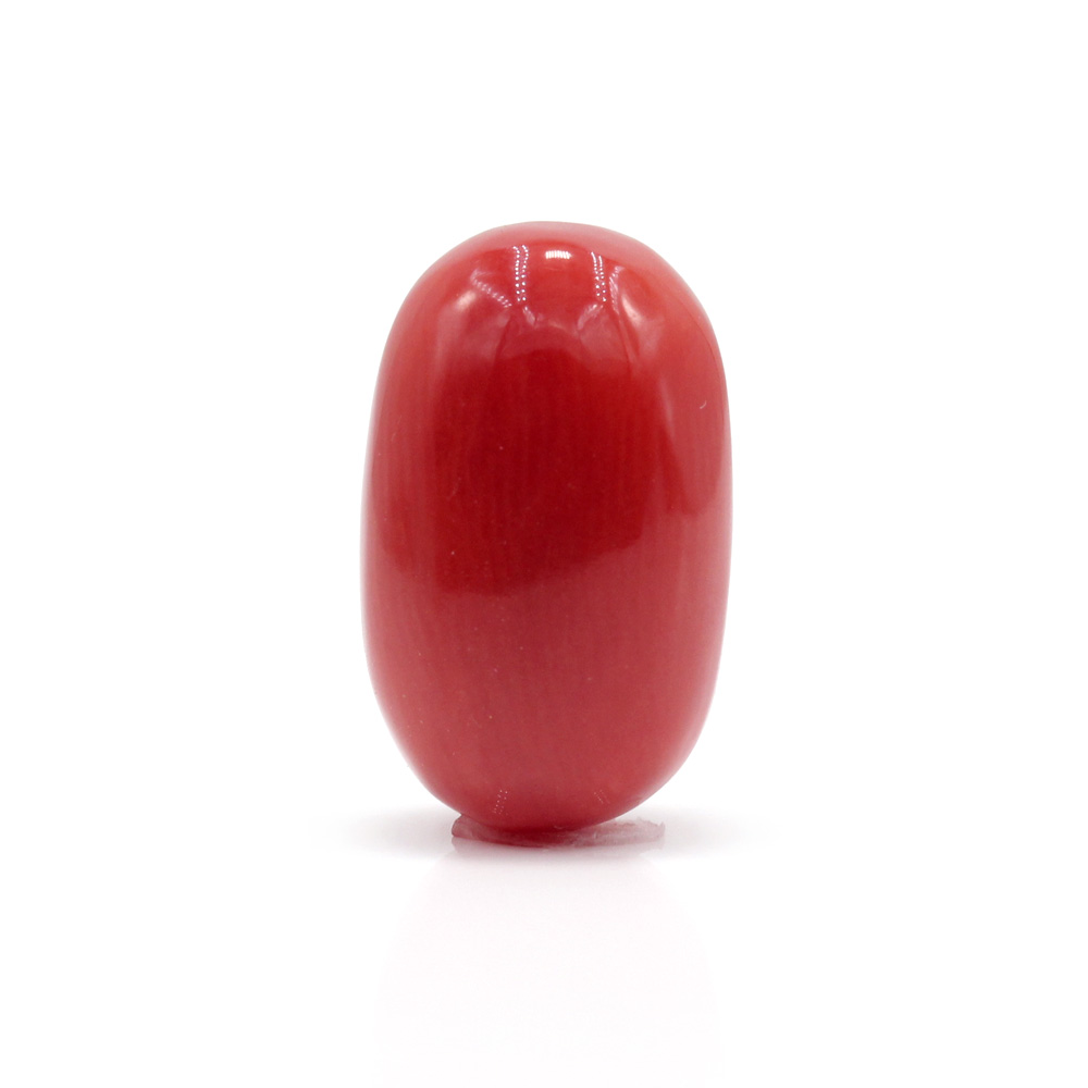 GACL291 (1) Red Coral 8.09 Carat (Moonga 8.90 Ratti) - Image 1