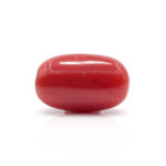 Red Coral 7.81 Carat (Moonga 8.59 Ratti) - Image 3