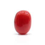 Red Coral 8.75 Carat (Moonga 9.63 Ratti)