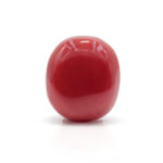 Red Coral 8.71 Carat (Moonga 9.58 Ratti)