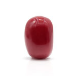 Red Coral 7.28 Carat (Moonga 8.01 Ratti)
